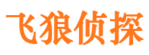 新城区外遇调查取证